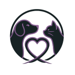 silhouette of dog and cat